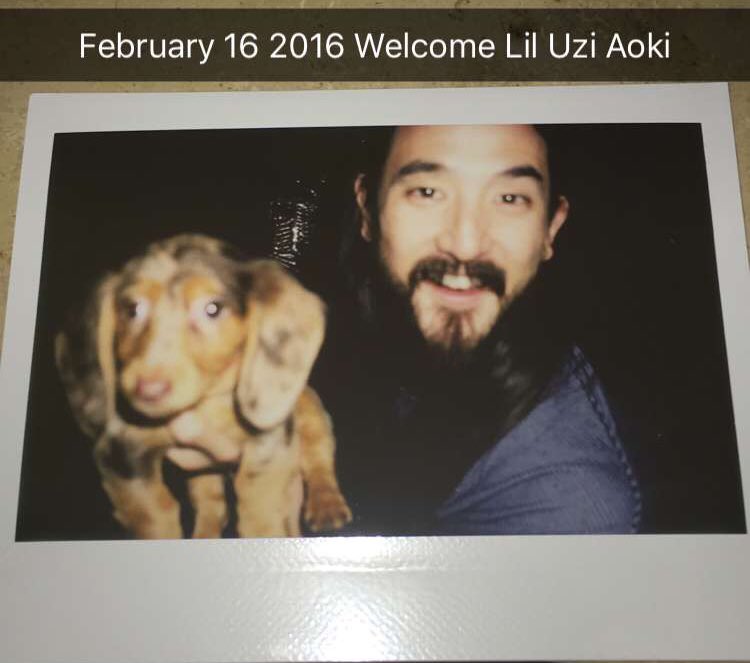 Follow @liluziaoki she the hottest bitch in town! https://t.co/gUiIfFO2wI