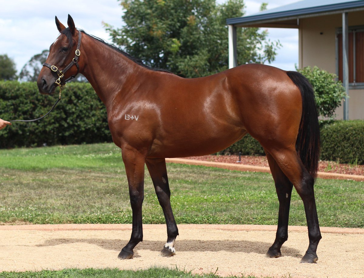 Noorilim Park tweet media