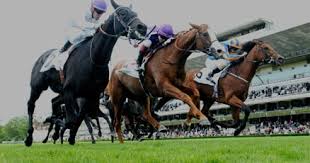 v1v1985's tweet image. Dépêchez Vous!!! Profiter Gratuitement du pronostic pour gagner Minimum 500€/Mois.
commentgagneraupmu.fr/abonnement-gra…