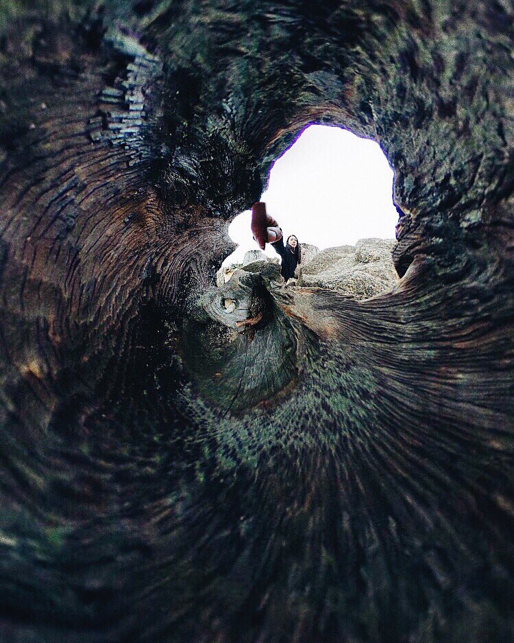 sougwen's tweet photo. 🌀#dendochronologic 🌀
The Secret Life of Trees #miyajima #microperspectives #fieldresearch #sojourn #memory #imprint https://t.co/dkc3mUPDB0