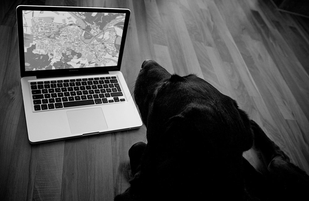 RT <a href="/freifunk_hennef/">freifunk-hennef.de</a>: #Freifunk-Knoten bei <a href="/freshinfo/">FRESH INFO +++</a>/<a href="/HennefMagazin/">Hennef Magazin</a>! Was der Hund da macht? freifunk-hennef.de/frischer-freif…