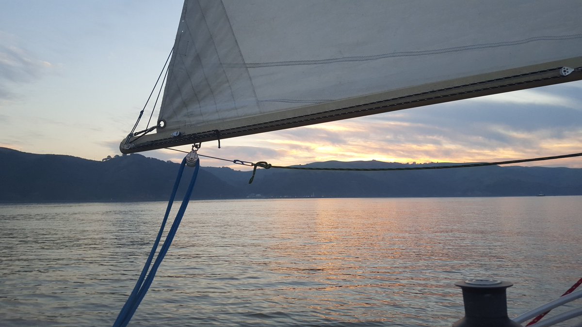 tree_herder's tweet image. Sailing was extremely pleasant this afternoon