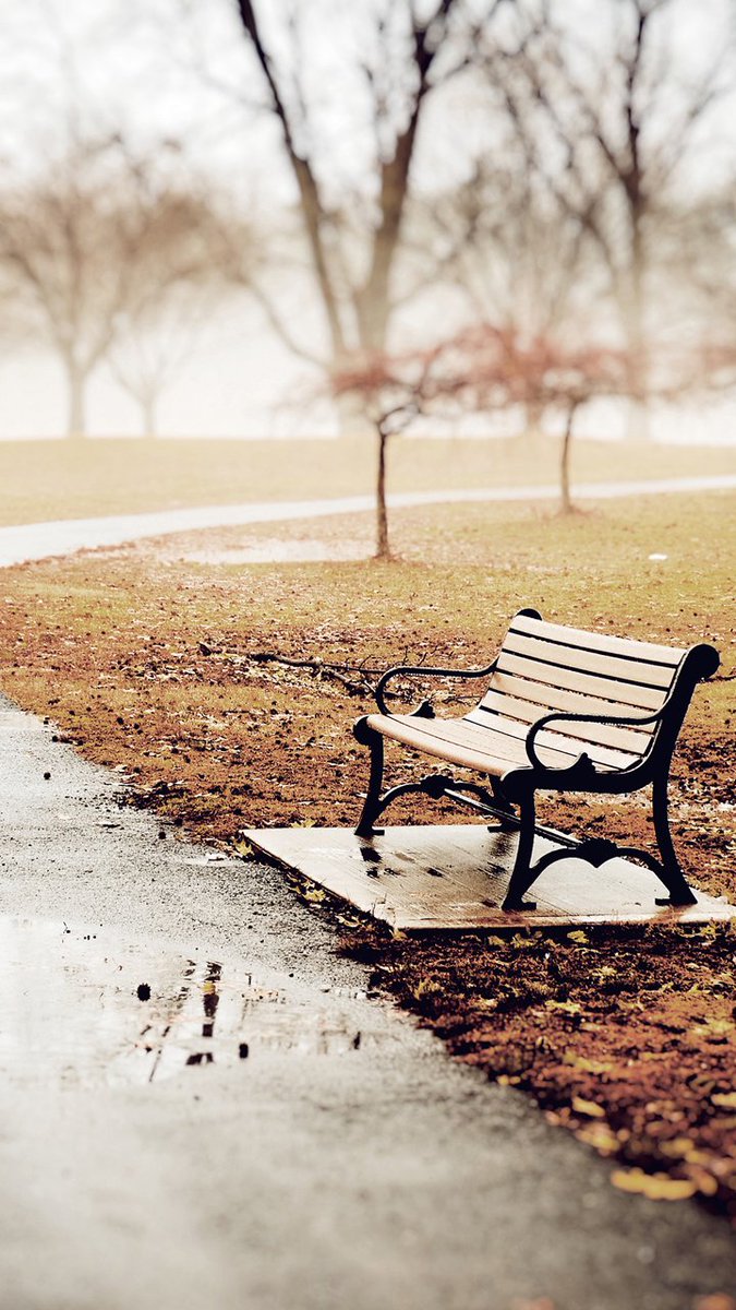 halrfay2's tweet image. صباح الورد