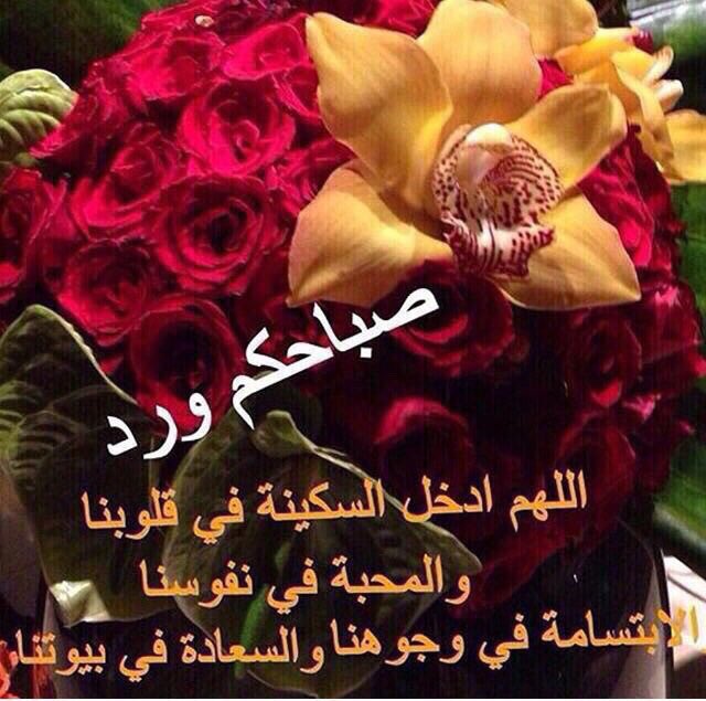 الله يسعد مساك ويسعد ايامك اروردز