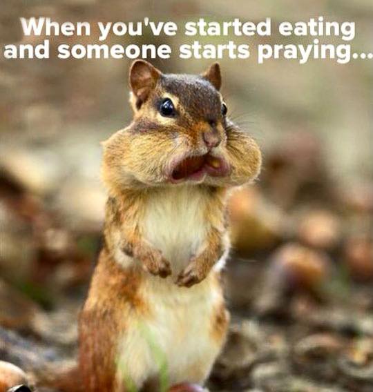 bcSharonZ's tweet image. #MormonProblems