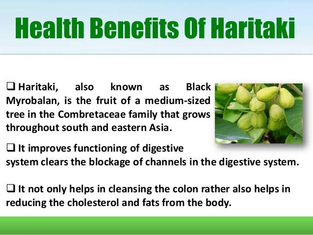 ayurvedichub's tweet image. Health Benefits Of Haritaki

You Can Buy Here - bit.ly/1SILEzY

#haritaki #gas #improvingdigestion
