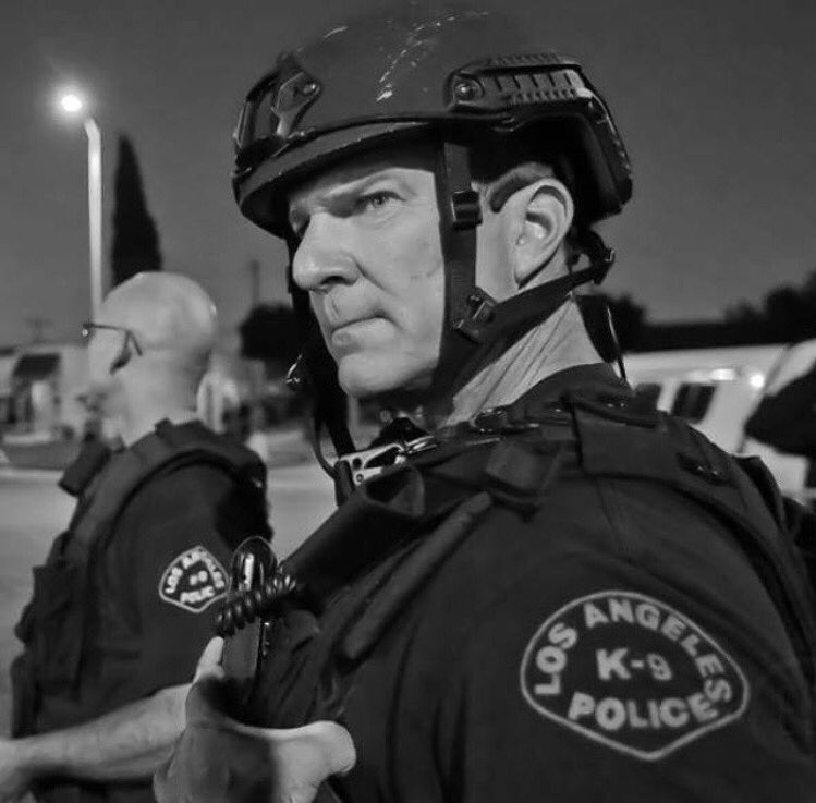 LAPD Metropolitan tweet media