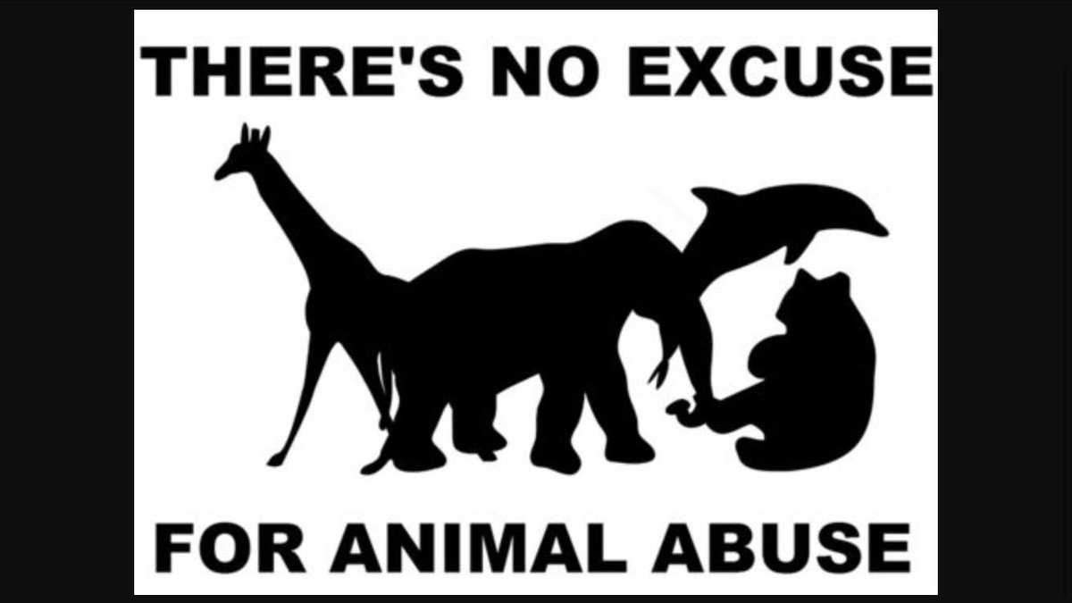 NikoleKylee44's tweet photo. #NoExcuseForAbuse #adoptdontshop #animalrights #endanimaltesting  #loveforall  https://t.co/kcUrPn4DcI #gofundme https://t.co/S5IeDi30vc