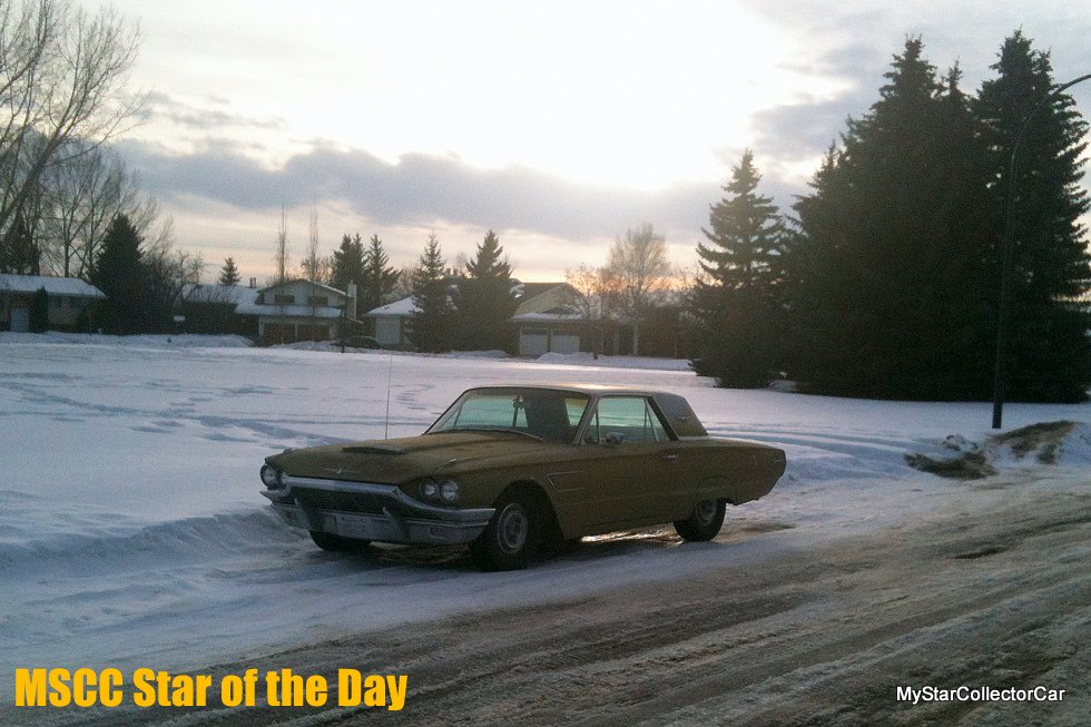 MyStarCollecto1's tweet photo. MSCC Feb 17 Star of the Day-a classic at sunset yesterday.READ MORE: https://t.co/4JHcavVKHG #65Thunderbird https://t.co/EXXZXCu2B4