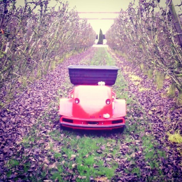 Otherbots's tweet photo. Ants at fruitfarm #fruitfarm #ants #robot #working #workingrobot #machine #savemoney,time&effort by teknoants https://t.co/ReGPxdNLqS