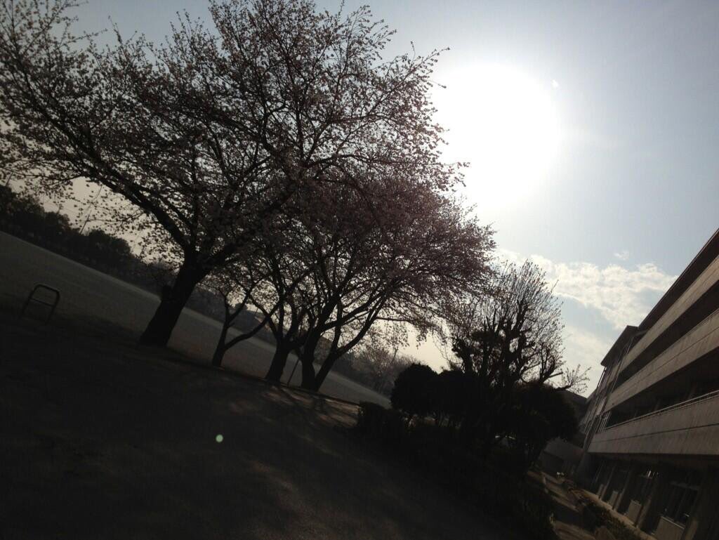 笠懸中イライラおもしろbot Botbot Twitter