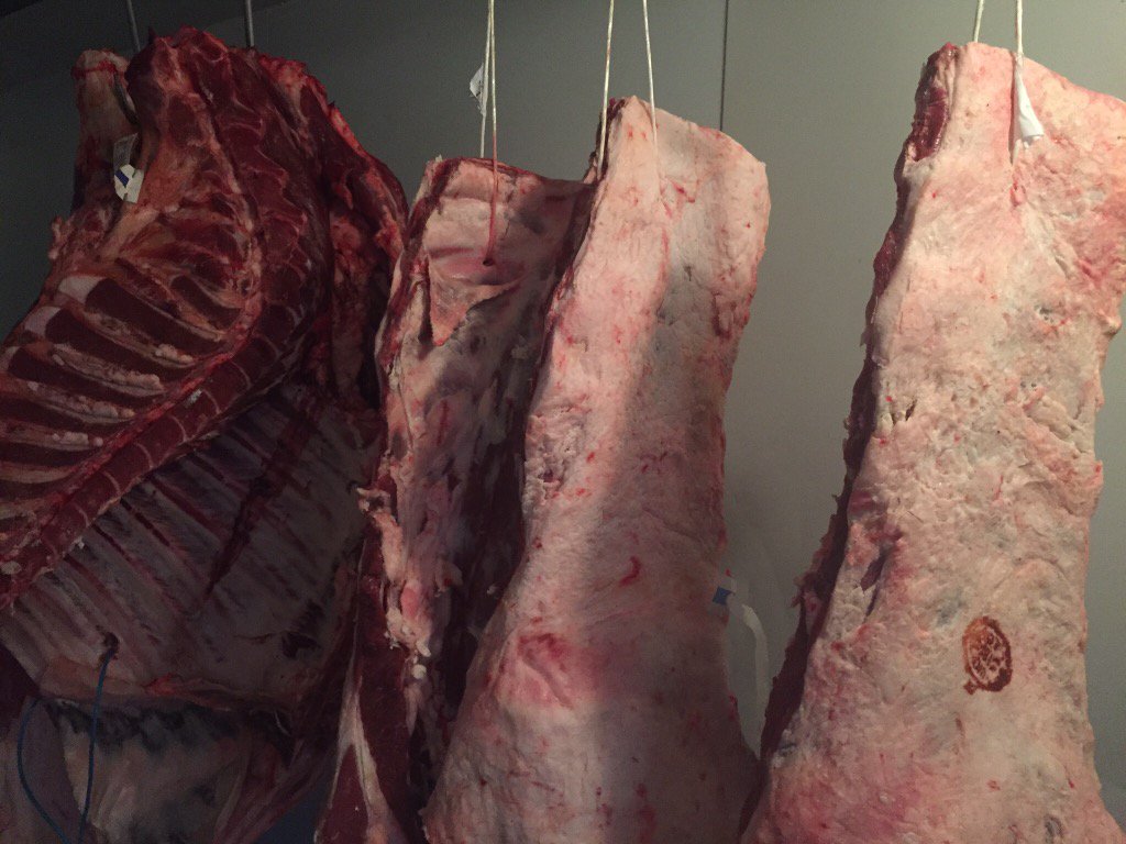 JohnsonButchers's tweet photo. And so it begins!! Beef nicely maturing ready for #Mothersday Order Toady!! #butcherisbetter #dryaged @Thrapston1 https://t.co/KuNvTNgfiY
