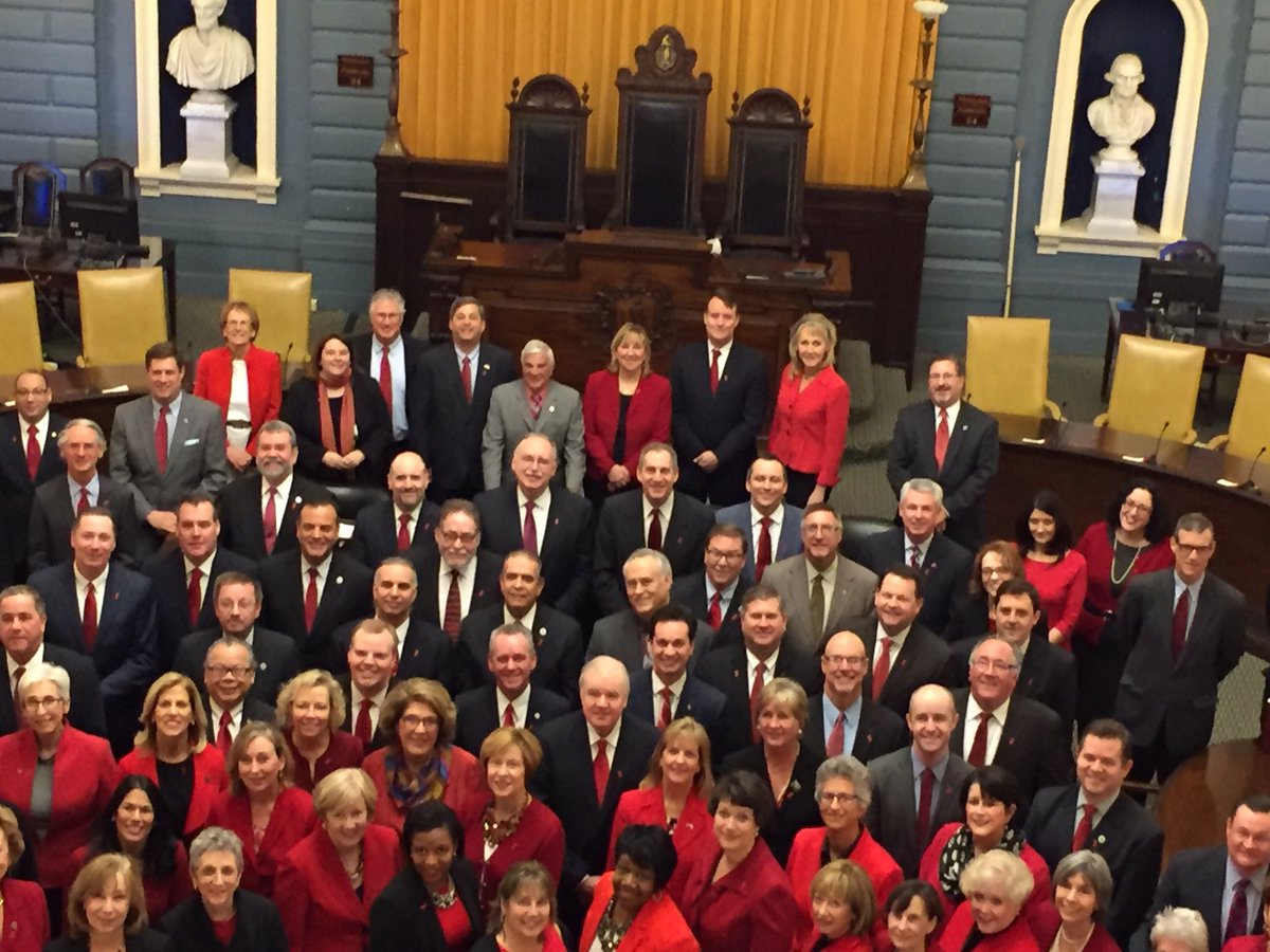 Proud to join colleagues &amp; <a href="/MAWomensCaucus/">MA Women's Caucus</a> to support #GoRedForWomen > awareness about women's #heartdisease #mapoli