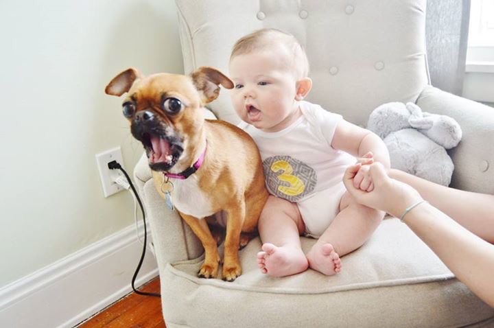 abby_free's tweet photo. The funniest 3 month pictures you've ever seen. https://t.co/3JoIJjIpxb