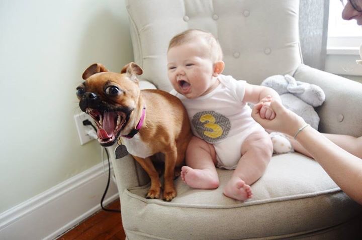 The funniest 3 month pictures you've ever seen.