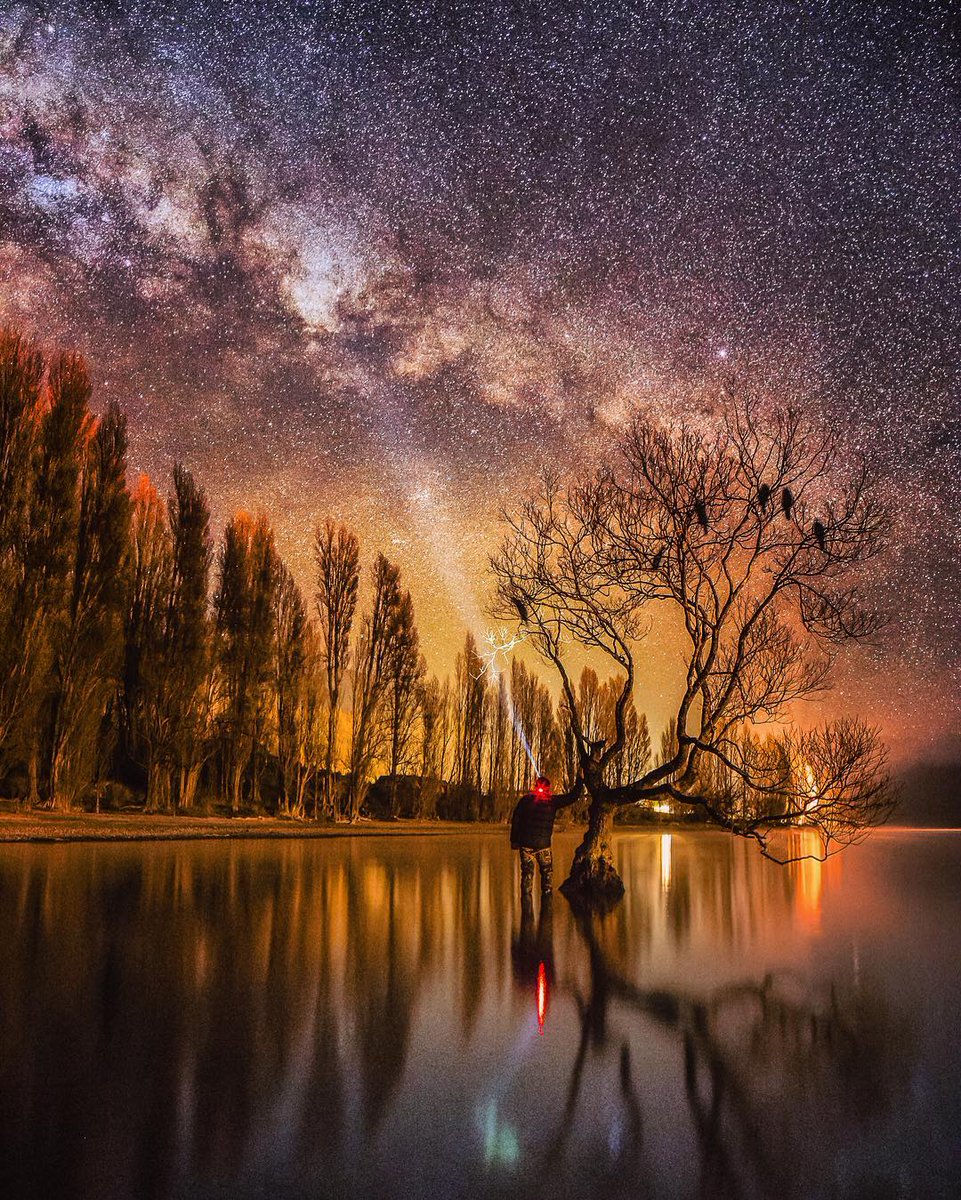 rybotics's tweet photo. The lone tree, Wanaka, New Zealand https://t.co/F5dOR8bFR7