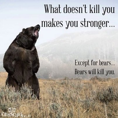 mystones_ie's tweet image. What doesn't kill you.......#WednesdayWisdom #Funny #HelloBear