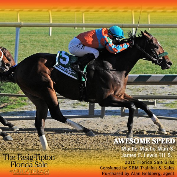 FasigTiptonCo's tweet photo. Multiple stakes winner AWESOME SPEED is a Florida Sale grad! https://t.co/0or3hLHedD #FTFlorida #fasiggrad https://t.co/y18FPxv32b