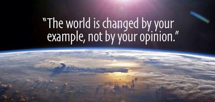 Murray Newlands tweet media