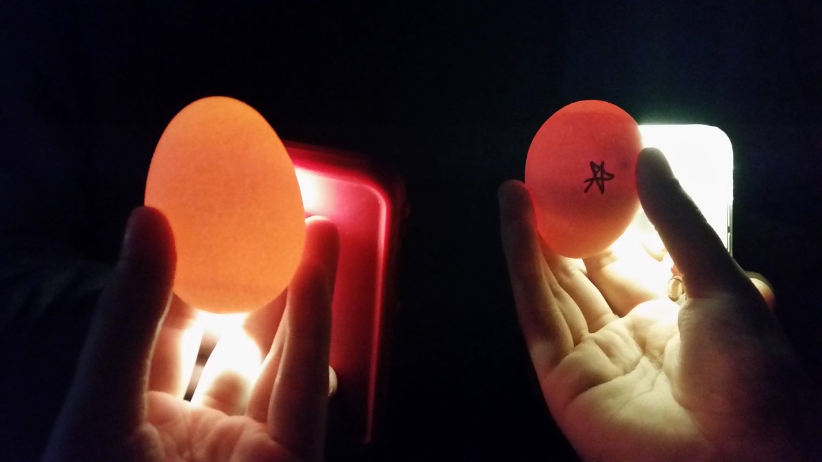 MCABids's tweet photo. Right one has a baby chicken left does not https://t.co/qtcL9Y0sIT