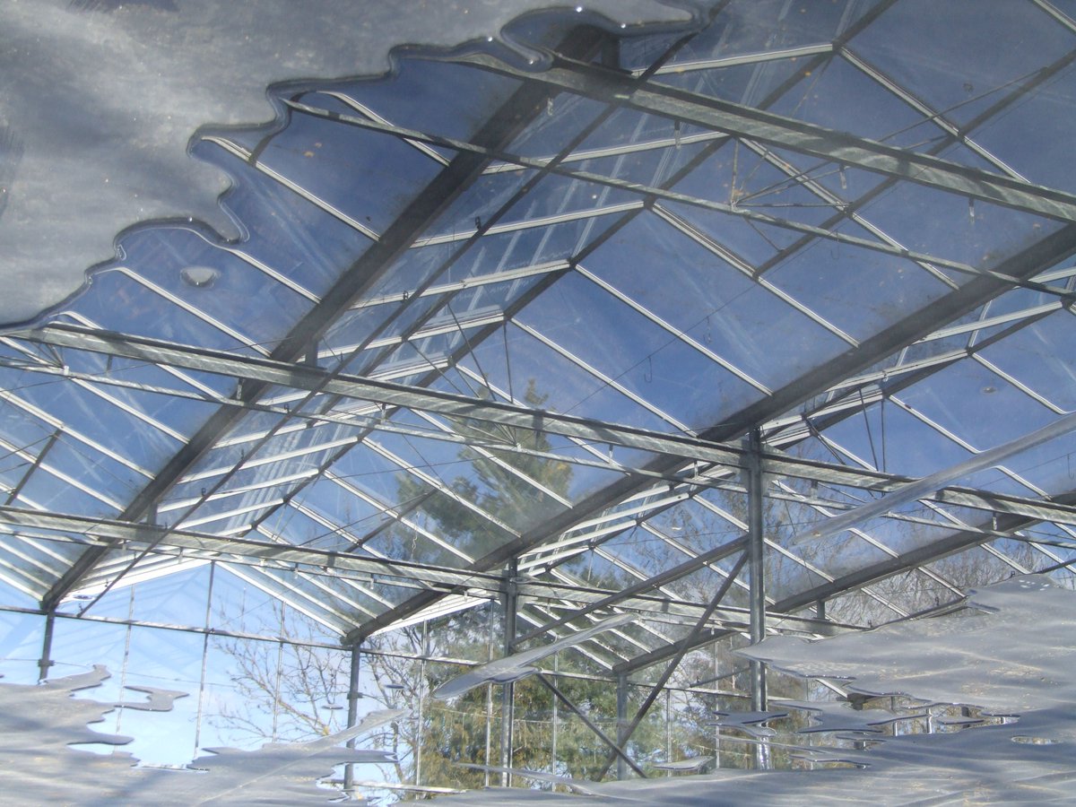 TheGlassGround tweet picture