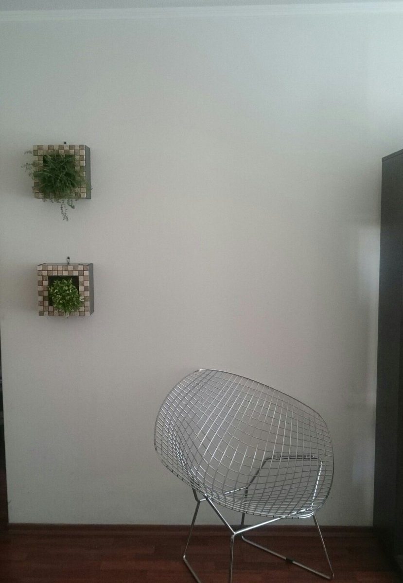 Five Sunflowers (@five_sunflowers) on Twitter photo 