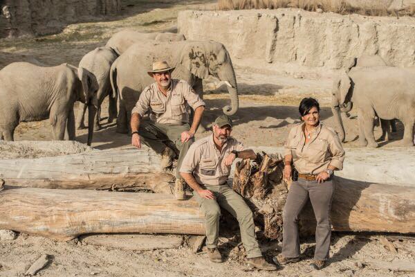 AmyLCamacho's tweet photo. Buenos días! Miren a los elefantes en @AfricamSafari en su nuevo hábitat #RescateSalvaje https://t.co/v5FUwpNkYo