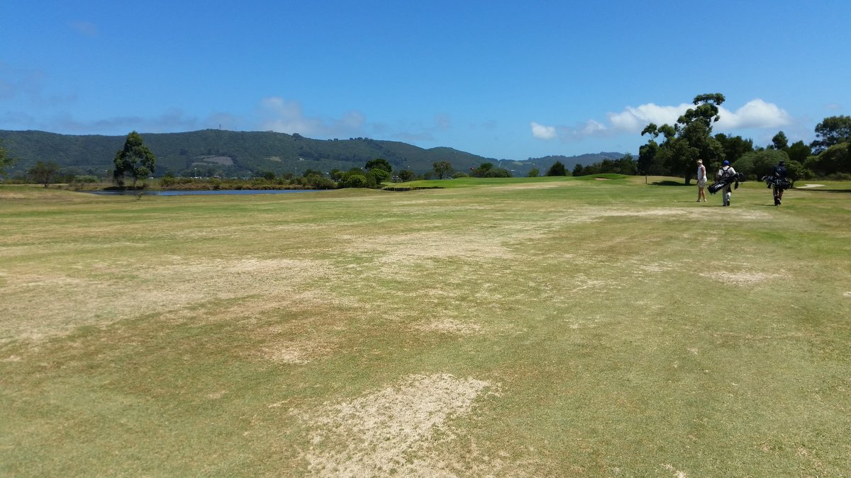 Mondfrans6's tweet photo. Knysna Golf... extreme dry summer... fairways dormant... future expectations in the Netherlands? How bad is that? https://t.co/9jya0Wgg8I