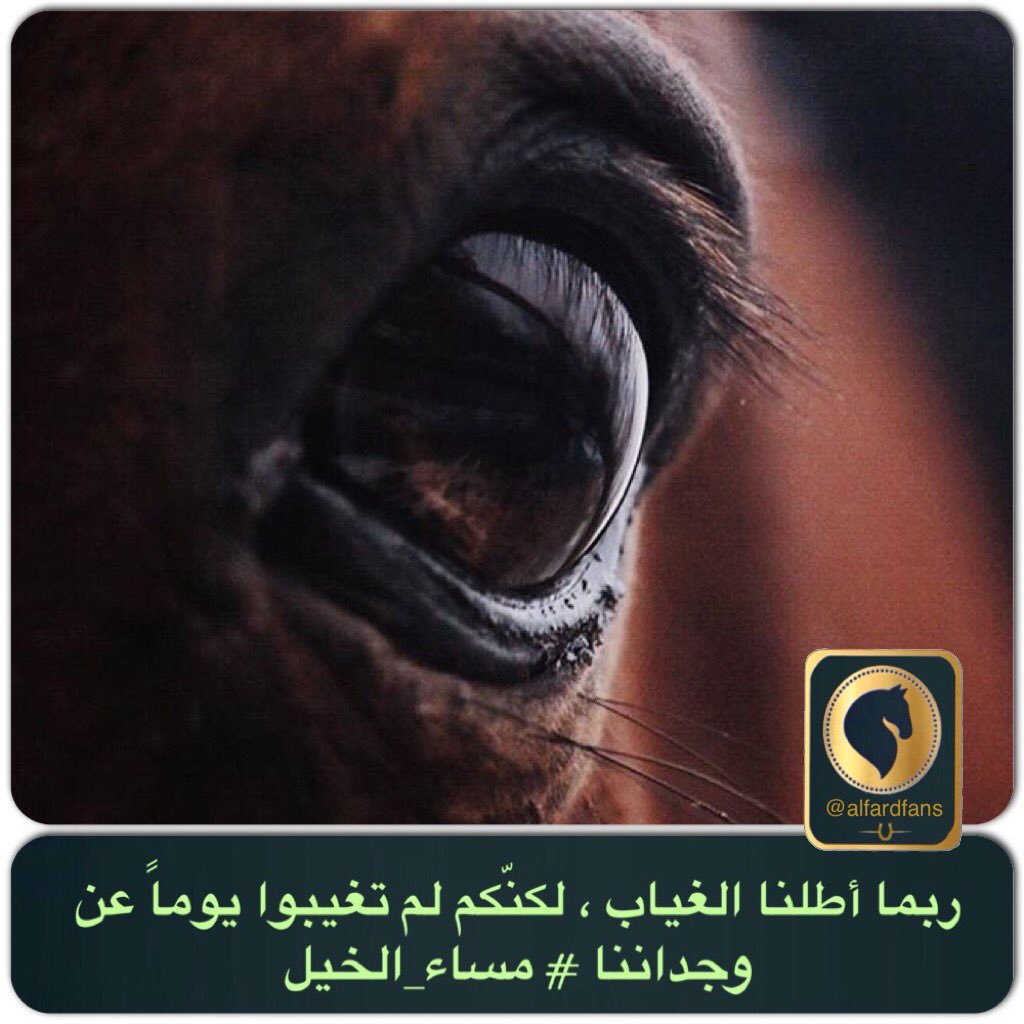 alfardfans's tweet photo. ربما أطلنا الغياب ، لكنّكم لم تغيبوا يوماً عن وجداننا # مساء_الخيل https://t.co/Mi2HFAeTmb