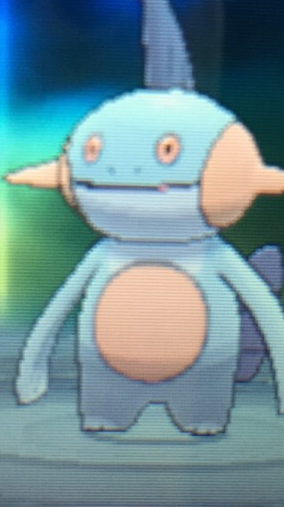 春野 海 ミズゴロウに みーちゃん とニックネームをつけて可愛がっていた学生の頃いつも授業一緒に受けてた女の子のその後の情報です T Co Jaguphktwf