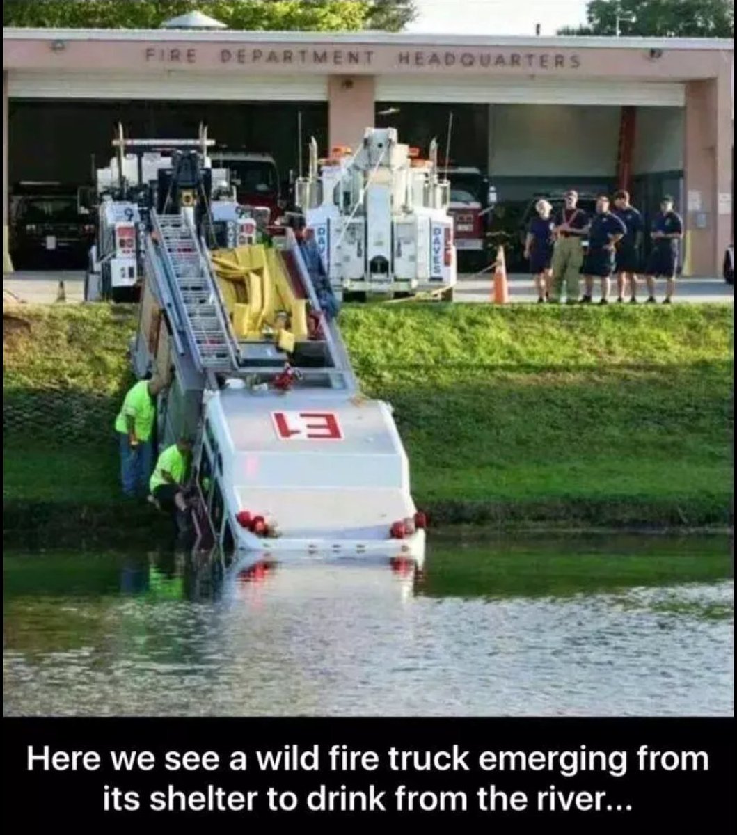 DropDeadPics's tweet photo. A wild fire truck emerging https://t.co/AutXkMiY36