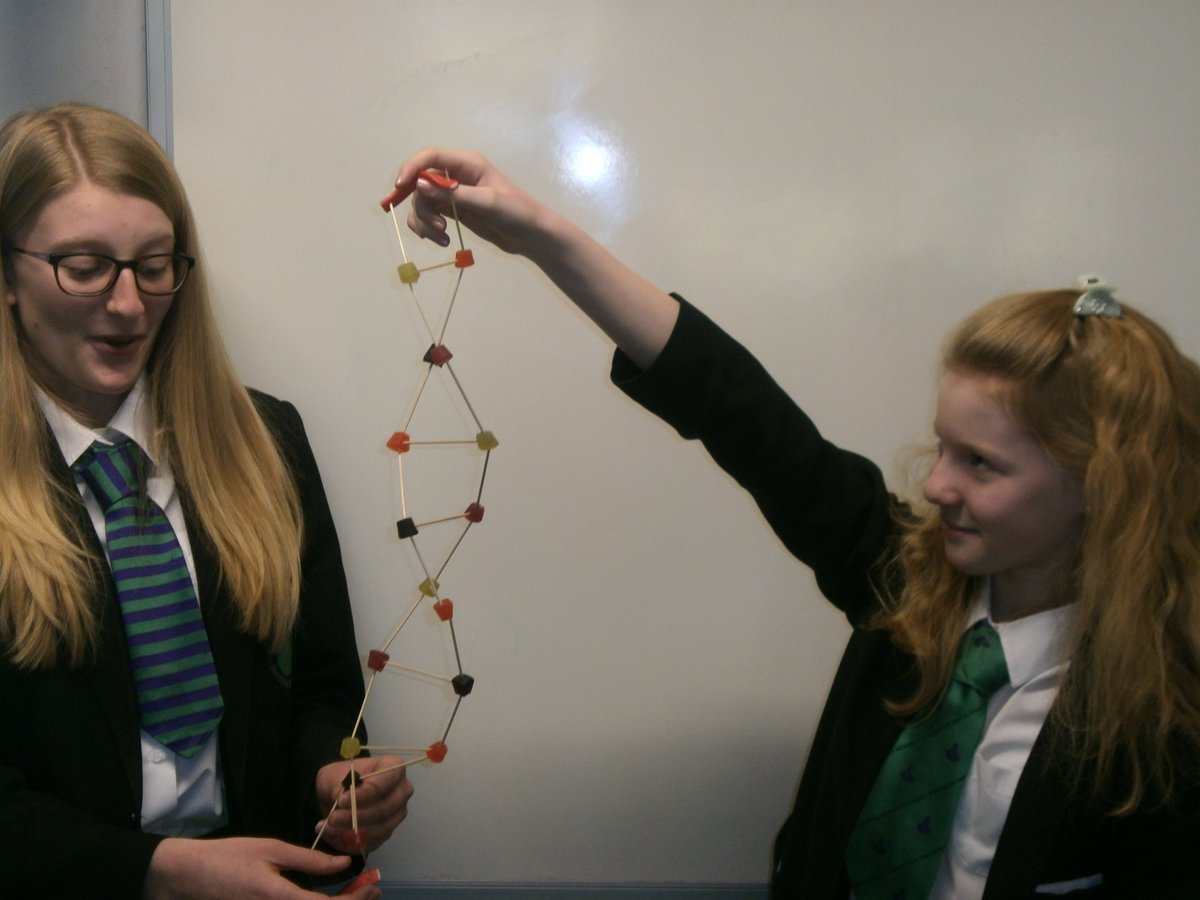 CastleRockSch's tweet image. Year 9 #Science students exhibiting their models of a #DNA double helix #CreativityInScience #Molecules