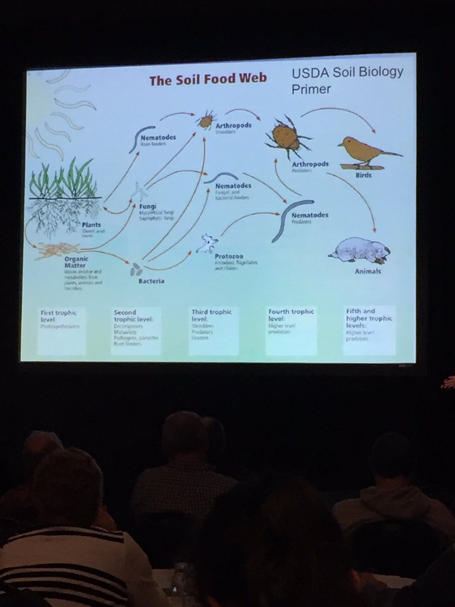 brfarms09's tweet photo. Very interesting talk on the #soilweb @ #IFAO16. Makes a person really think about soil health https://t.co/eTnn26qzCD