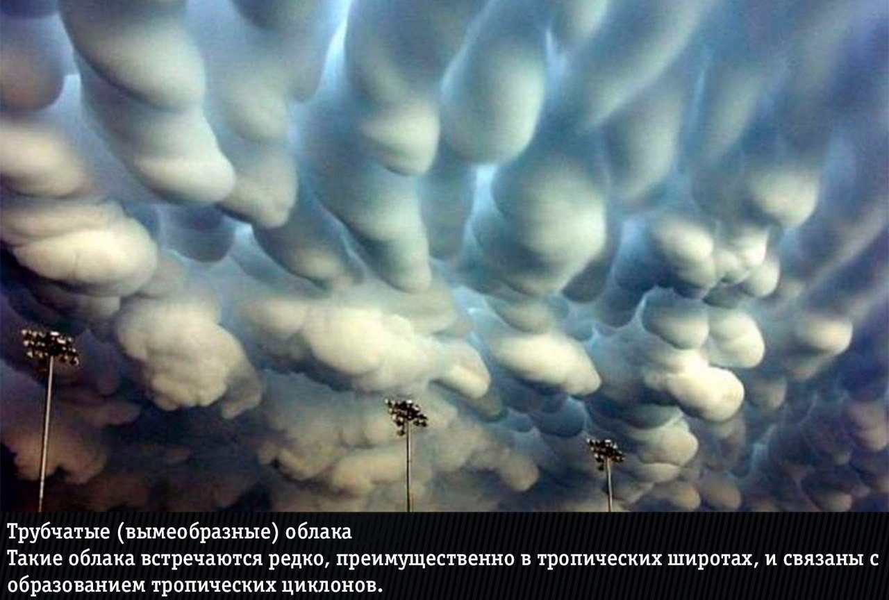 Волнисто бугристые облака
