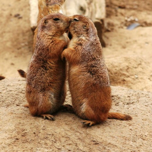 powerofhug's tweet photo. @maya_adelle1 Everybody needs a hug :D https://t.co/i64jULoDIF