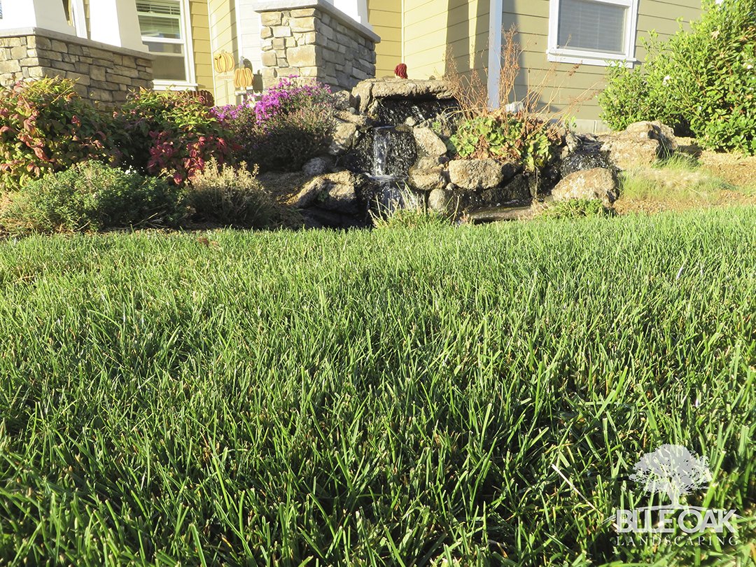 BlueOakScaping tweet picture