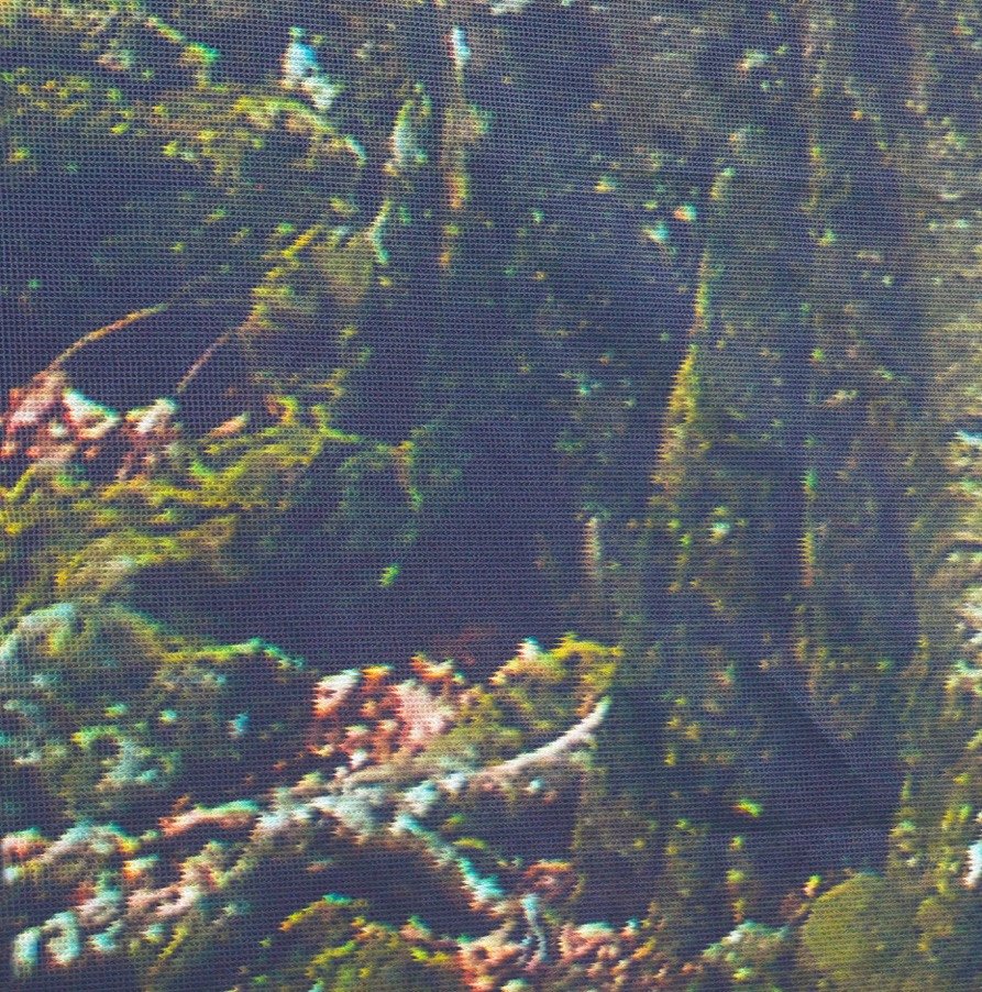 S. Olbricht returns with new album For Perfect Beings bit.ly/1QxW9kp