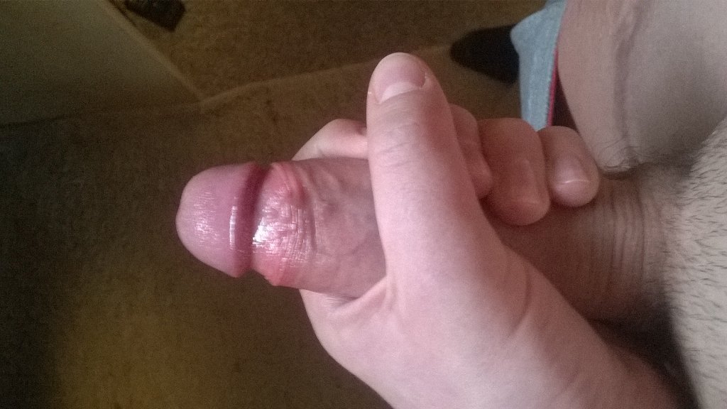 Pornopenis Pornopenis