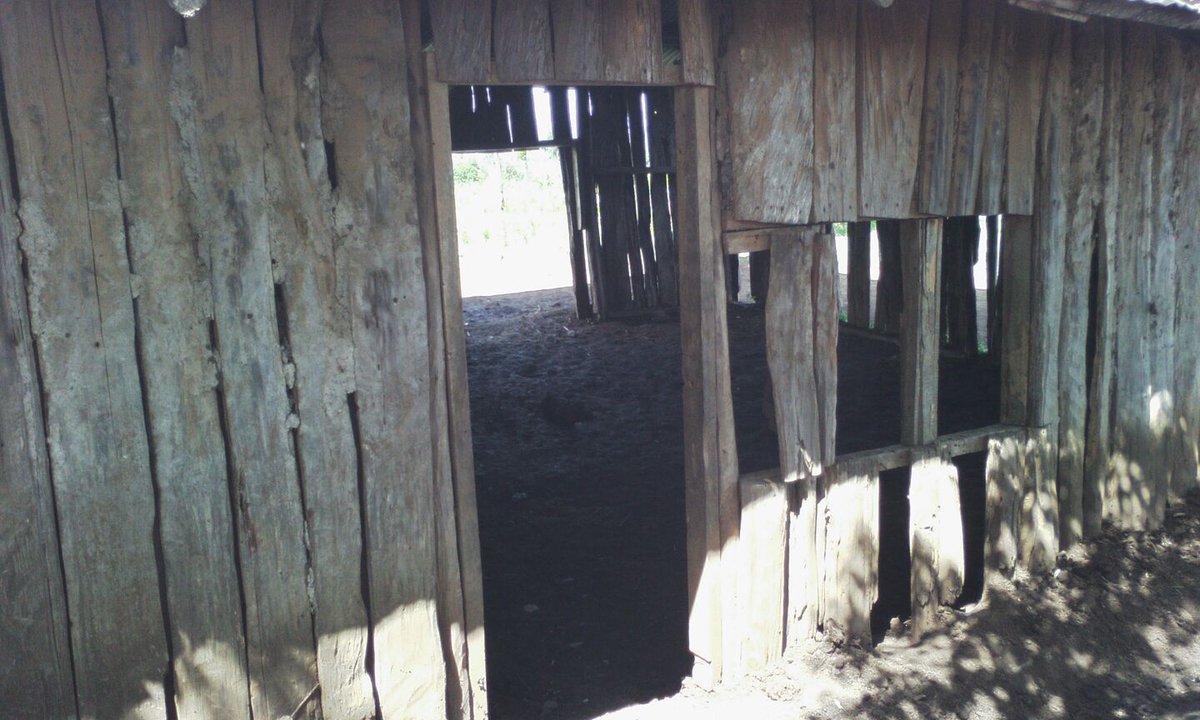 njokiwanjiruKen's tweet photo. @ntvkenya pry schools in Nyeri https://t.co/8Ti7z1Kho6