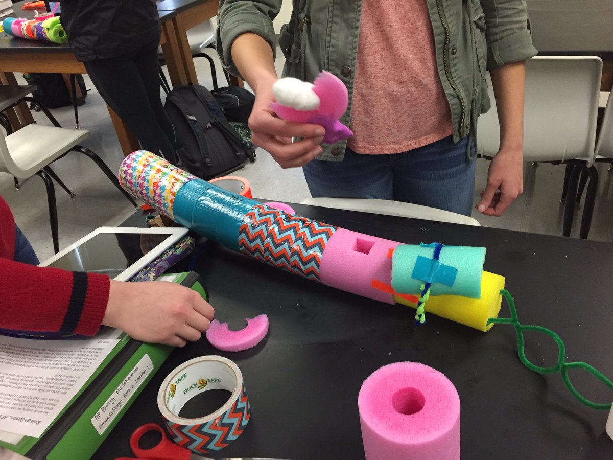 SchermsLHS's tweet photo. #wheresthepool #apbio #operons https://t.co/dNaWPRF7OK