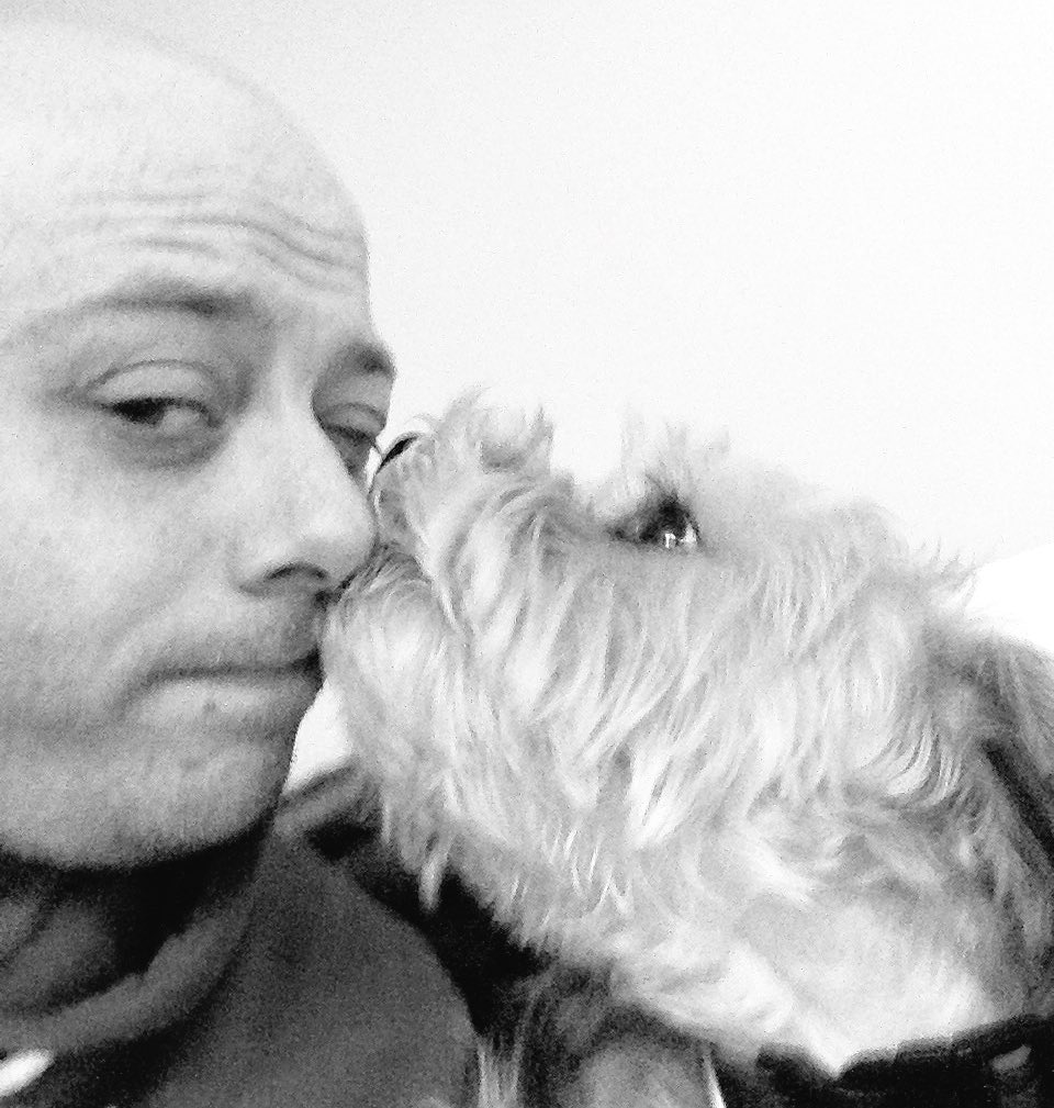 SwanseaJackJack's tweet photo. This is uncle Marky. He's vewy lickable #FollowJack @izatsana is uncle Marky and @BobbiTheWestie's daddy https://t.co/UhdsVdbVYi