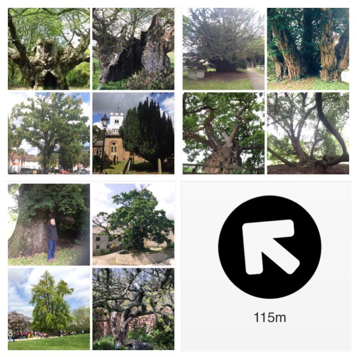 TiCLme's tweet photo. This year you'll find #TreesOnTheMove in the UK
https://t.co/UnwFwJgsKC
TiCL App https://t.co/QzWdoqxcZW
