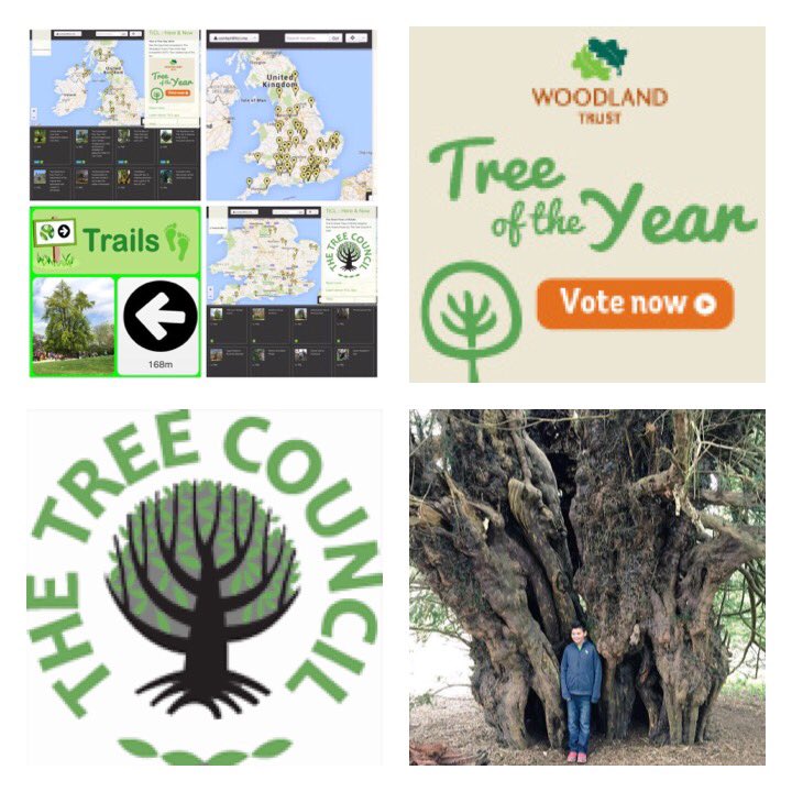 TiCLme's tweet photo. This year you'll find #TreesOnTheMove in the UK
https://t.co/UnwFwJgsKC
TiCL App https://t.co/QzWdoqxcZW