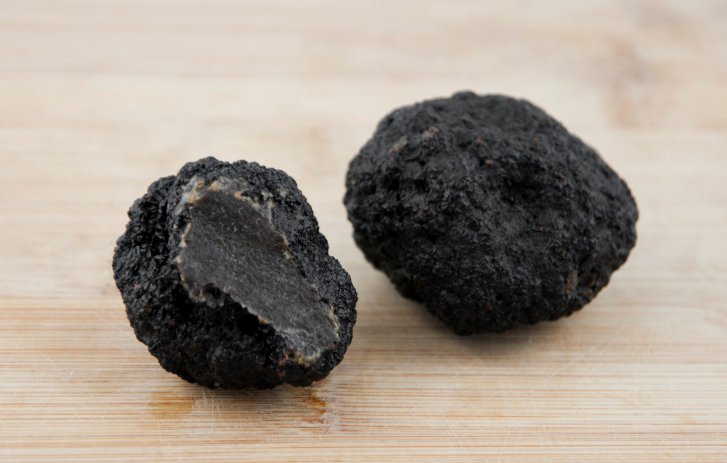 beardfoundation's tweet photo. Get to know the Périgord truffle, a.k.a. the black diamond of gastronomy https://t.co/h5uoFas9iA https://t.co/cLrrG4EAMk