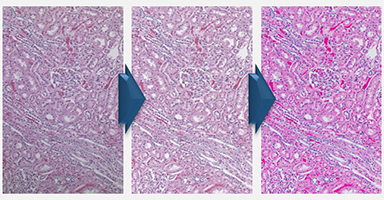 ChromaCal's tweet photo. Webinar TODAY! 1PM EST. "Best Practices for Post-Processing of Scientific Images" https://t.co/29eh9RzIH2 https://t.co/quPx3tCkFh