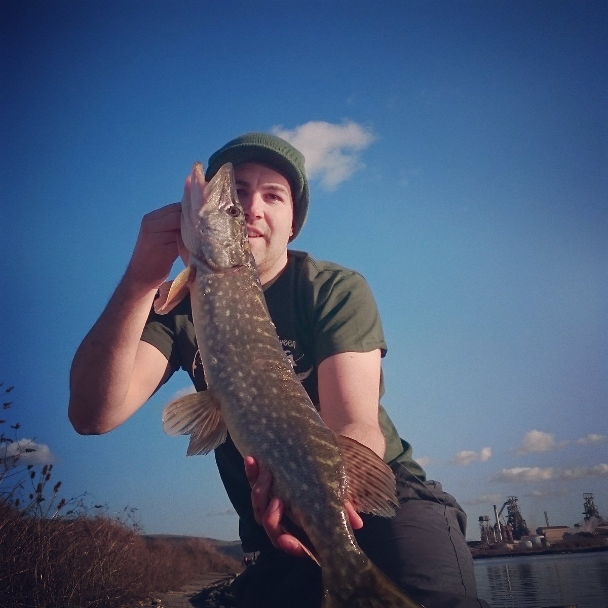 Another one to add to the tally #pike #fishing