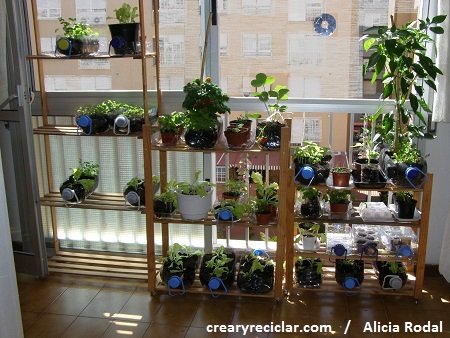 crearyreciclar's tweet photo. Si tienes una ventana…tienes una #huerta https://t.co/peA3XFH7fk #huertourbano #crearyreciclar16 #DIY #hazlotumismo https://t.co/kOc7s5Emba