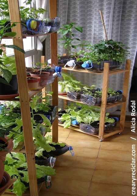 crearyreciclar's tweet photo. Si tienes una ventana…tienes una #huerta https://t.co/peA3XFH7fk #huertourbano #crearyreciclar16 #DIY #hazlotumismo https://t.co/ks6NtCyLvU