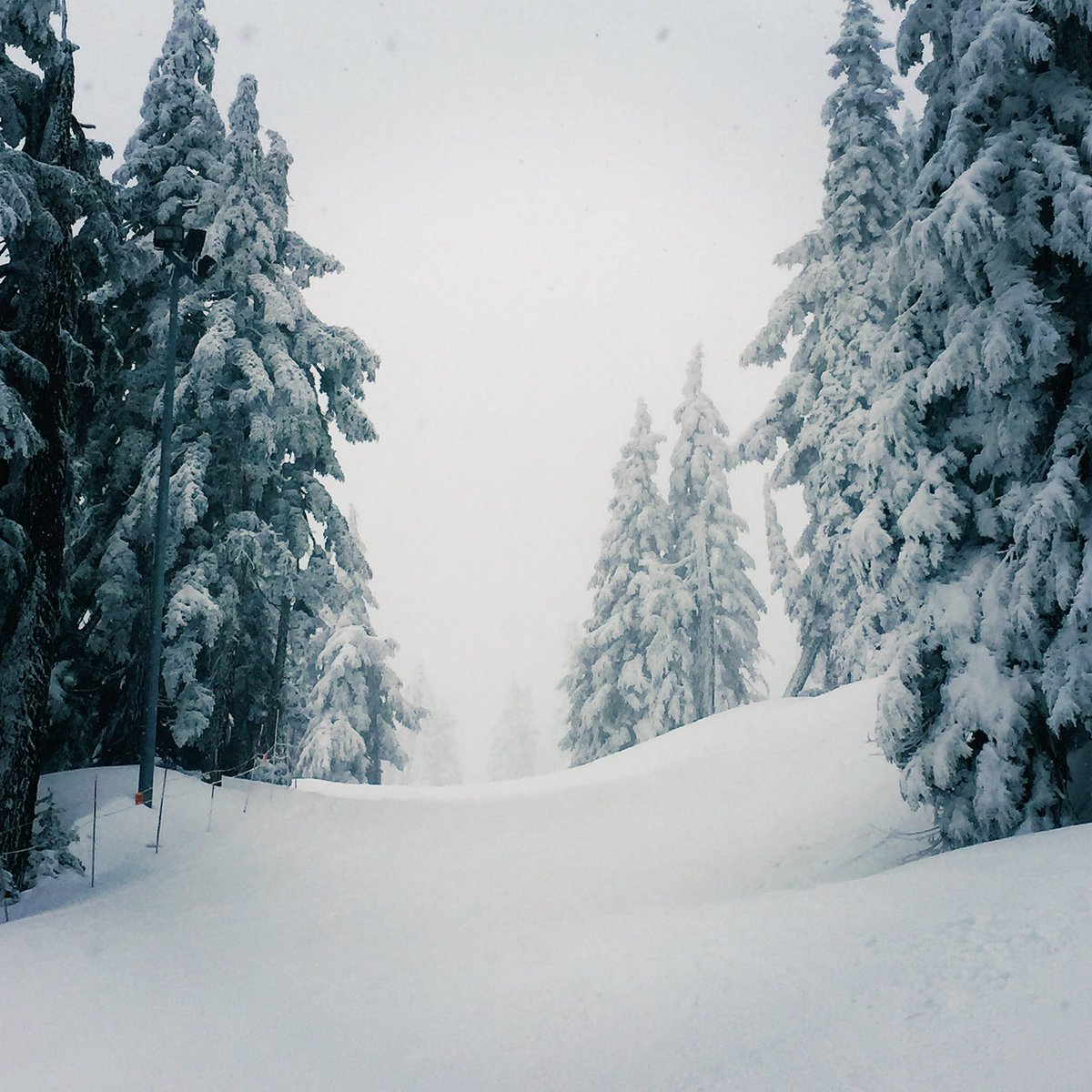 yourbda's tweet image. Great Time @Cypressmtn #beatifulbc #canada #snowboarding #snowbc #freshpowder