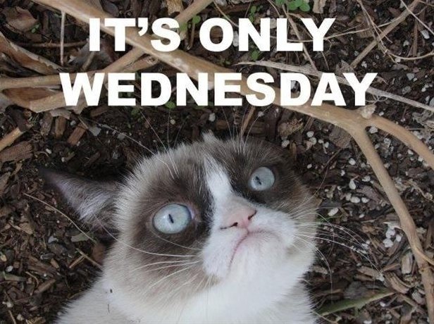 MtBakerVapor's tweet photo. Wednesday is like the middle finger of the week. https://t.co/vPlpAEulM5